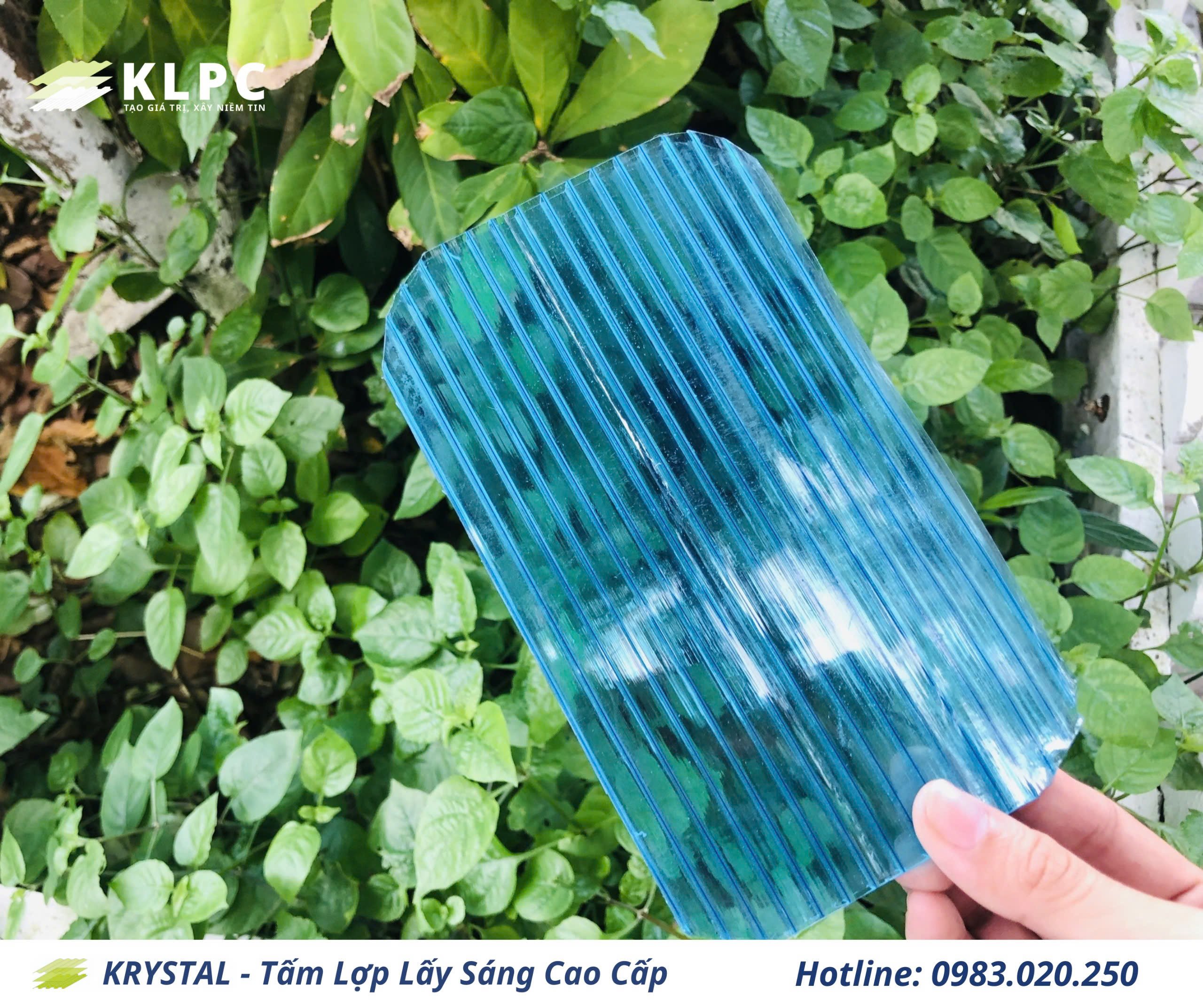 Tấm poly rỗng xanh hồ